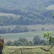 Дом для продажи недалеко от Варны