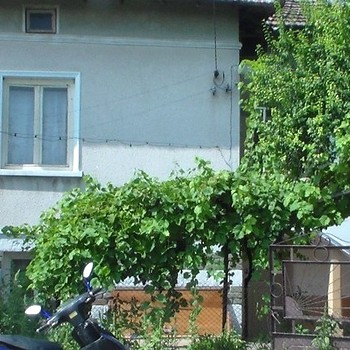 Дома в Видин