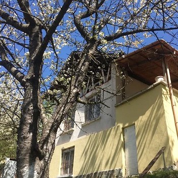 Дома в Елин Пелин