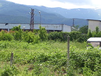 Сельхоз земля в Берковица