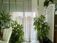 Апартаменты в Силистра