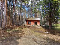 Продается прекрасный дом в лесу