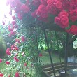 Прекрасный дом на продажу недалеко от Перника