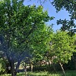 Прекрасный дом на продажу недалеко от Перника