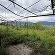 Продается старый дом недалеко от Врацы