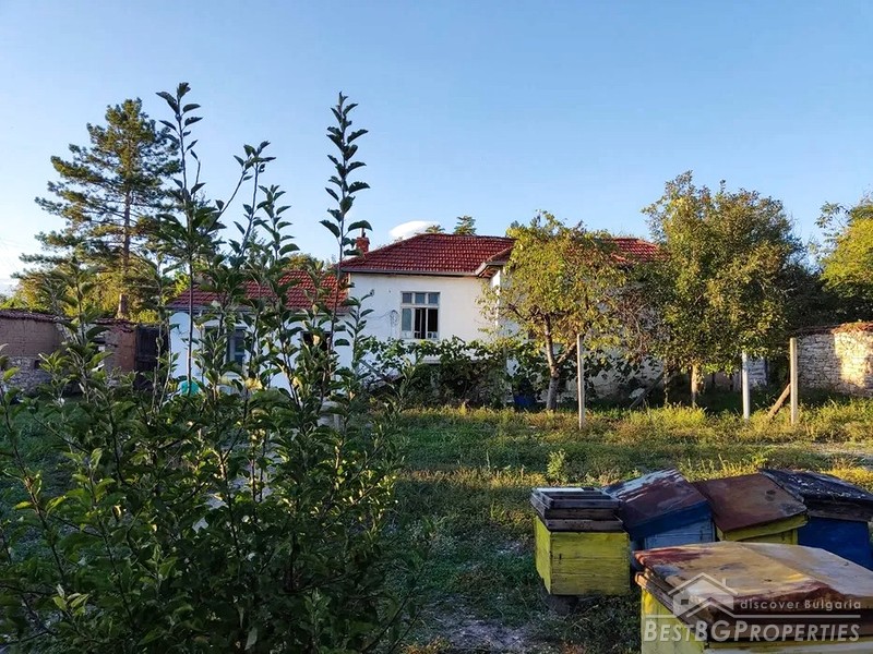 Продается старый дом с красивым двором недалеко от Чирпана