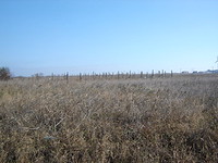 Сельхоз земля в Бургас