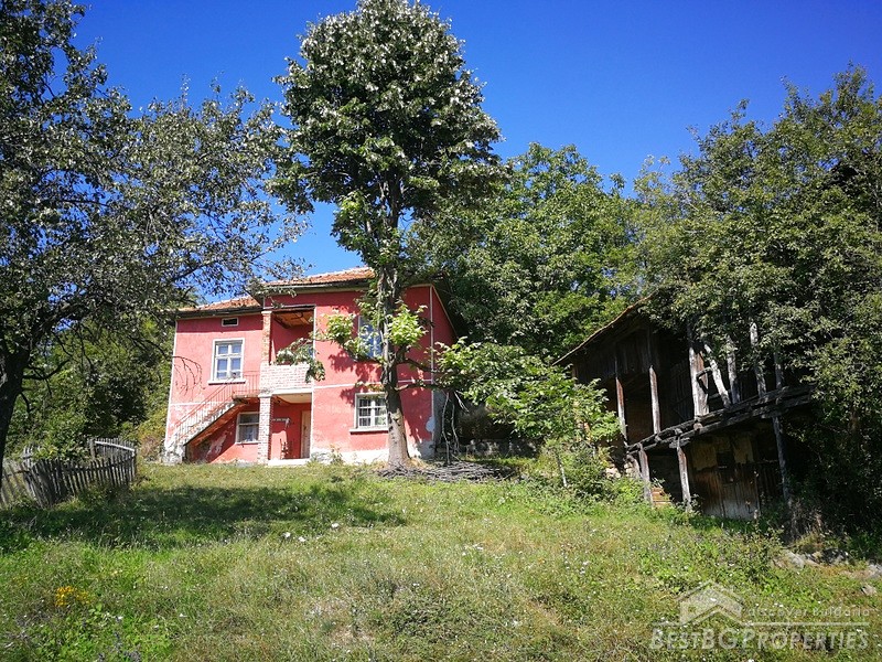 Недвижимость с огромным садом для продажи недалеко от г. Враца