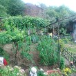 Сельский дом на продажу в северной Болгарии недалеко от Дряново