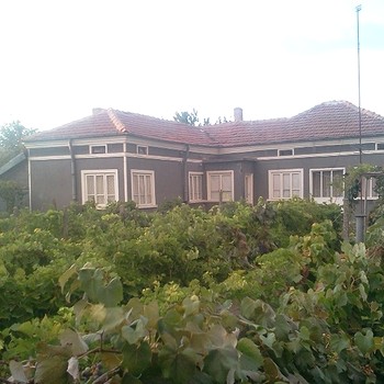 Сельский дом для продажи недалеко от Добрича