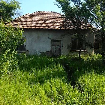 Дома в Монтана