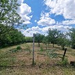 Продается загородный дом недалеко от Плевена