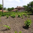 Маленький заговор в центре деревни