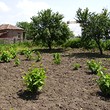 Маленький заговор в центре деревни