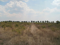 Сельхоз земля в Бургас