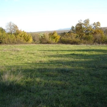 Земельные участки под строительство в Приморско