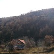 А дом с роскошным мнение