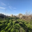 Сельский дом с большим участком земли на окраине деревни недалеко от Burgas.
