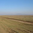 Сельскохозяйственная земля для продажи возле Бургас