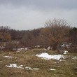 Земля возле моря