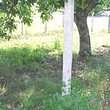 Один этажный дом и А новое здание в общий двор