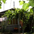 Дом для продажи в Болярово
