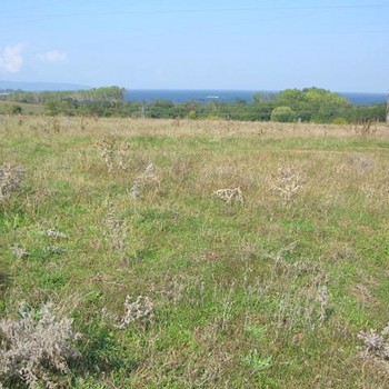 Земельные участки под строительство в Царево
