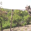 Сельские дома в горы Пирин