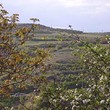 Сельские дома с A Mountain View