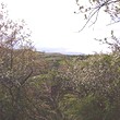 Сельские дома с A Mountain View